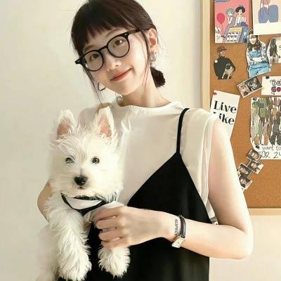 惊笑好莱坞
